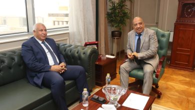 «الكهرباء»-و«الوادى-الجديد»-تبحثان-تعزيز-مشروعات-الطاقة-الشمسية