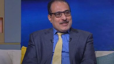 د-أحمد-الشناوى-يكتب:-“النقل-الأخضر”-فى-مصر.-تحول-استراتيجى-نحو-اقتصاد-أكثر-استدامة