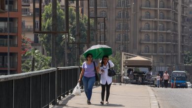 “حلول-للسياسات-البديلة”:-الحرارة-فى-مصر-مرشحة-للارتفاع-3-درجات-مئوية-بـ2050