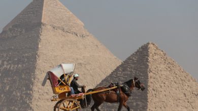 التدفقات-الخليجية-تقود-انتعاشة-المقصد-السياحي-المصري 