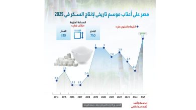 مصر-على-أعتاب-موسم-تاريخي-في-إنتاج-السكر-خلال-2025