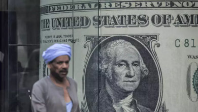 سعر-الدولار-في-ختام-تعاملات-بنوك-مصر-اليوم-الأحد-3-أغسطس-2025
