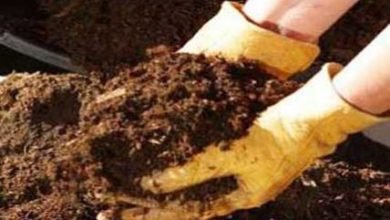 أرباح-“فيركيم”-تقفز-إلى-1.38-مليار-جنيه-في-النصف-الأول