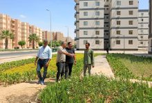الإسكان-تتابع-على-الأرض.-رئيس-مدينة-بدر-يتفقد-المشروعات-ويوجه-بتكثيف-التشجير-والصيانة
