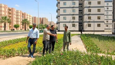 الإسكان-تتابع-على-الأرض.-رئيس-مدينة-بدر-يتفقد-المشروعات-ويوجه-بتكثيف-التشجير-والصيانة