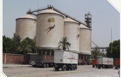 خاص:-“مطاحن-شرق-الدلتا”-تربح-46.1-مليون-جنيه-في-الربع-الأول