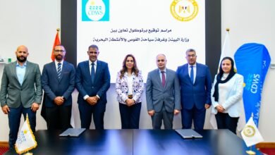 خاص:-تعاون-بين-«البيئة»-و«سياحة-الغوص»-لحماية-الحياة-البحرية-في-جنوب-سيناء