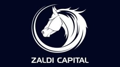 “زالدي-كابيتال”-تعتزم-إطلاق-3-صناديق-جديدة-خلال-النصف-الجاري 