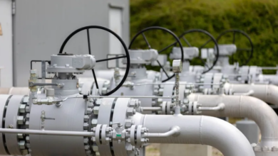 “غاز-مصر”-تربح-312.6-مليون-جنيه-خلال-2025