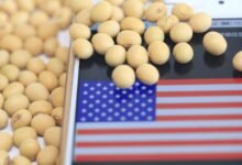 ارتفاع-عقود-فول-الصويا-الأمريكية-لأعلى-مستوى-في-قرابة-3-أشهر