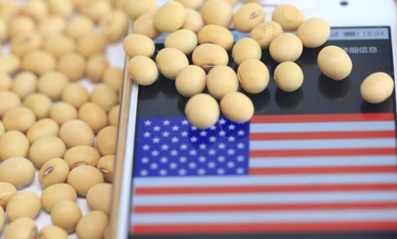 ارتفاع-عقود-فول-الصويا-الأمريكية-لأعلى-مستوى-في-قرابة-3-أشهر