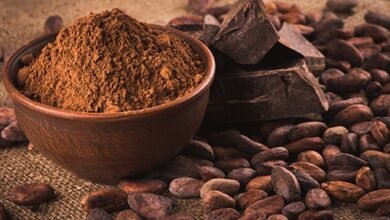 غانا-تخفض-سعر-شراء-الكاكاو-لاستعادة-التنافسية-العالمية