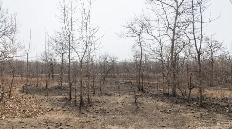 مارك-جونجلوف-يكتب:-المناخ-يهدد-بإحراق-مزيد-من-تريليونات-الدولارات 