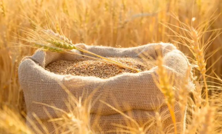 توجيهات-رئاسية-للحكومة-بتسريع-تفعيل-“البورصة-السلعية”