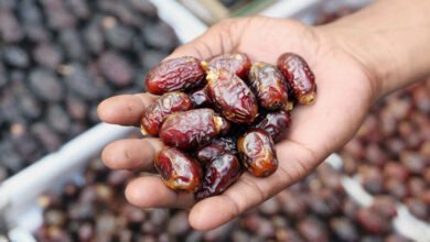 مصر-تراهن-على-التمور:-كيف-تتحرك-الشركات-لغزو-موائد-العالم؟