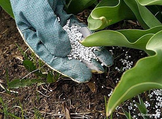 عمومية-“الدولية-للأسمدة”-تُقر-عقود-معاوضة-مع-شركتين