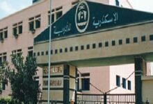 “الإسكندرية-للأدوية”-تربح-330-مليون-جنيه-خلال-7-أشهر