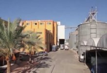 “العامة-للصوامع”-تربح-187.3-مليون-جنيه-خلال-7-أشهر