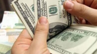 الدولار-يرتفع-إلى-48-جنيهًا-وسط-تخارج-أجنبي-وضغوط-استيرادية