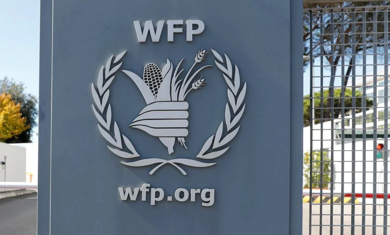 واشنطن-تعتزم-ترشيح-أمريكي-لخلافة-“سيندي-ماكين”-في-رئاسة-برنامج-الغذاء-العالمي