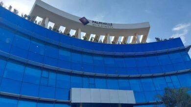 أرباح-“بالم-هيلز”-السنوية-تنمو-30%-لتتجاوز-4.4-مليار-جنيه