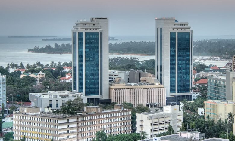 بنك-تنزانيا-ينضم-إلى-مؤسسة-التمويل-الإفريقية-كمساهم-رئيسي