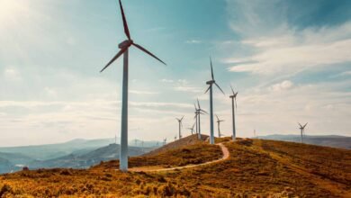 توجيهات-بتقييم-الأثر-البيئي-لمشروع-“سكاتك”-للرياح-بالبحر-الأحمر