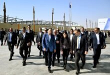 116-مليون-دولار-استثمارات-مجمع-“إيليت-سولار”-لتكنولوجيا-الطاقة-الشمسية-بـ”السخنة”