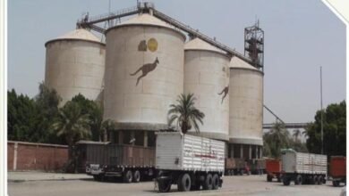 “مطاحن-الإسكندرية”-تستهدف-ربح-40-مليون-جنيه-بموازنة-2026-2027