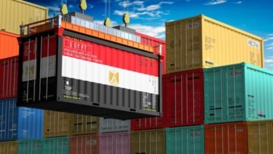 الحكومة-تدرس-البدائل-المتاحة-أمام-حركة-الصادرات-المصرية