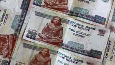 بنوك-2026.-أرباح-قياسية-تدعم-الأسهم-وتفتح-شهية-البورصة-نحو-طروحات-جديدة