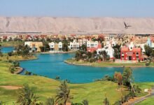 “أوراسكوم-للتنمية”-تقرر-مضاعفة-رأسمالها-عبر-أسهم-مجانية