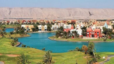 “أوراسكوم-للتنمية”-تقرر-مضاعفة-رأسمالها-عبر-أسهم-مجانية