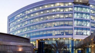 “راية”-تعتزم-تأسيس-شركتين-جديدتين-وشراء-أسهم-خزينة