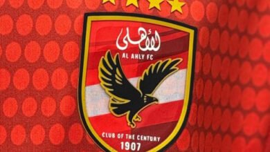 “الأهلي”-يجدد-طرح-49%-من-أسهم-شركة-كرة-القدم-فى-البورصة